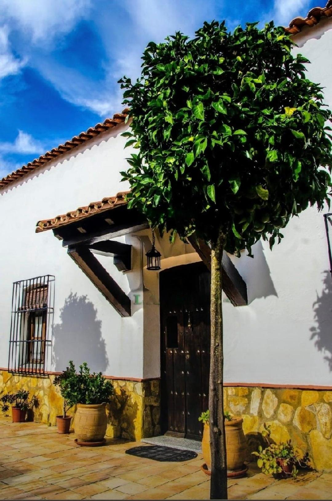 Casa Rural Villamada El Real de la Jara Номер фото